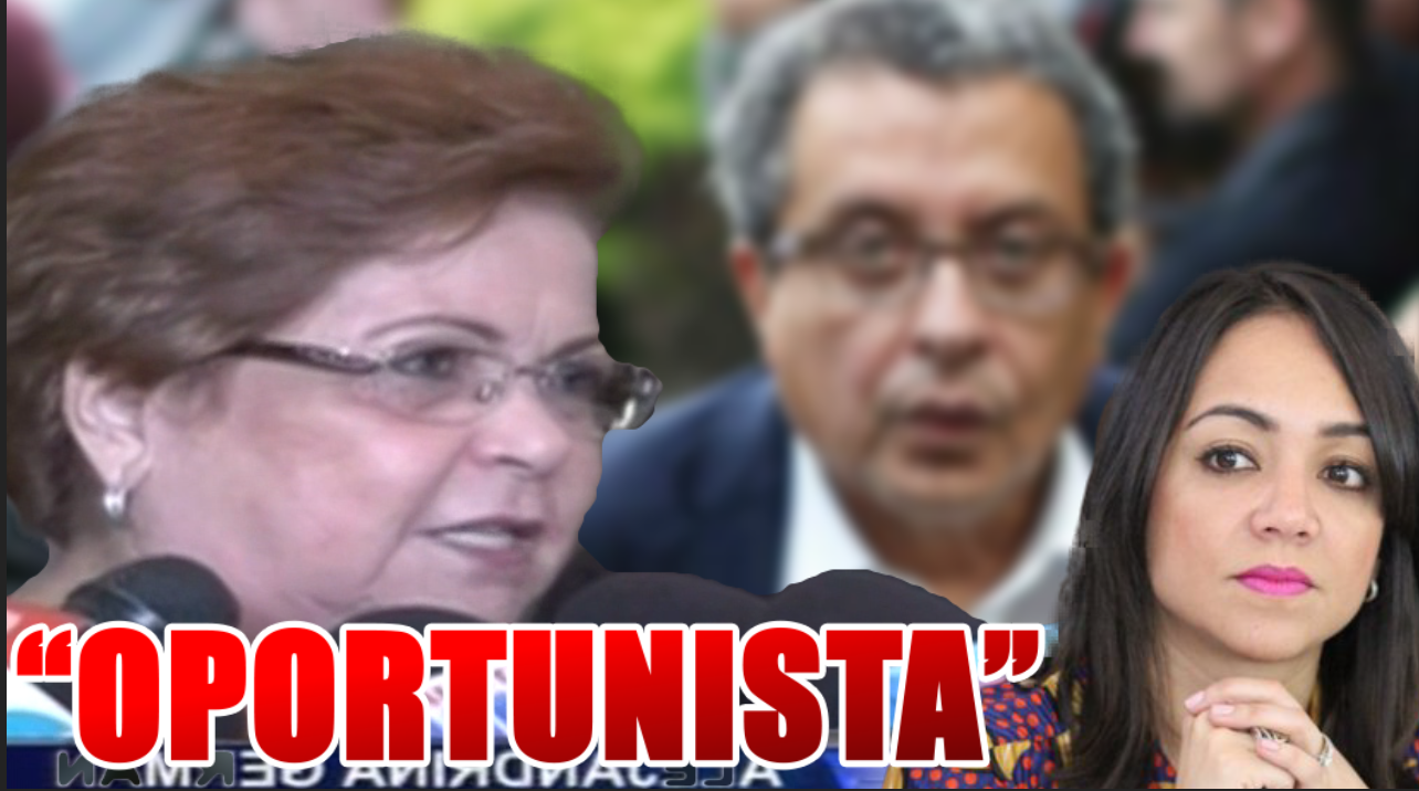 Mira Lo Que Le Dijo Alejandrina Germán A Los Que Piden Que Se Investigue Pagos Hechos Por El Gobierno A João Santana