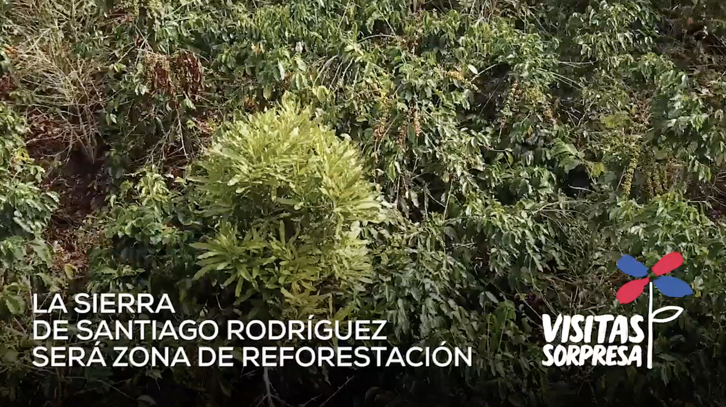 Danilo Medina De Visita En La Sierra De Santiago Rodríguez Para Salvar Miles De Tareas De Bosque Y Garantizar Agua Buena En La Línea Noroeste.‬