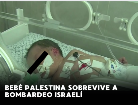 Bebé Palestina Sobrevive A Bombardeo Israelí