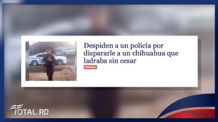 Despiden A Un Policía Por Dispararle A Un Chihuahua Que Ladraba Sin Cesar