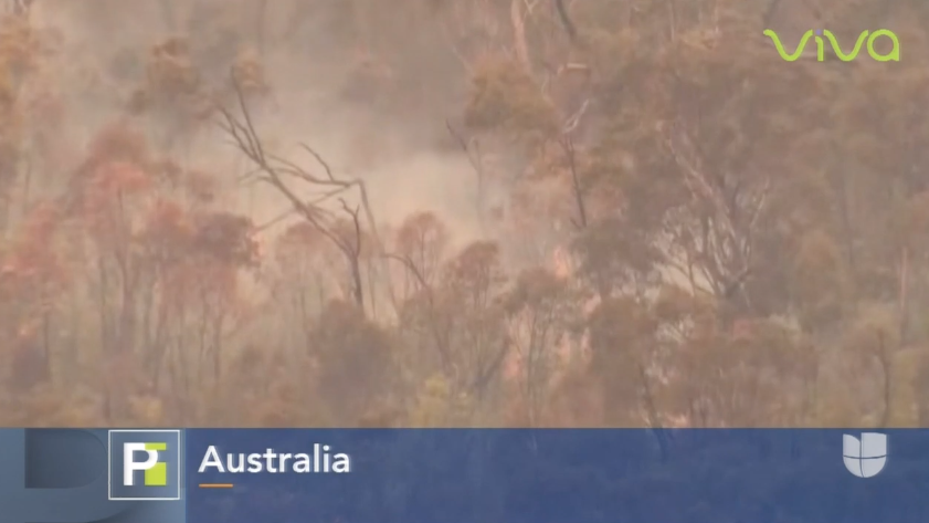 Se Disparan Las Alarmas En Australia Tras Las Fuertes Temperaturas Y Los Fuertes Vientos