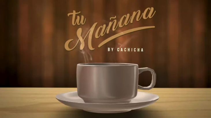 “Son Farsantes Y Simuladores”, Tema De La Cámara De Cuentas