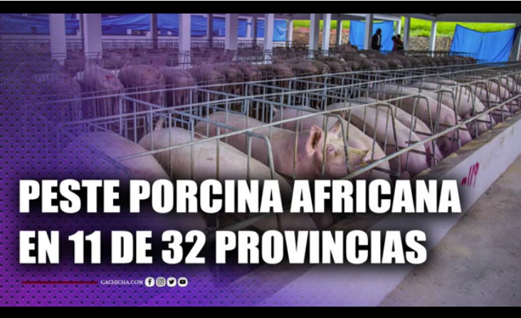 EN VIVO: 6to Sentido By Cachicha | 02 Agosto