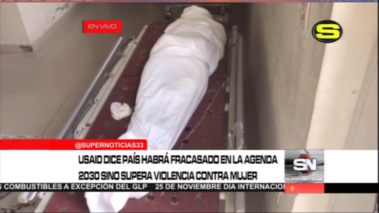USAID Dice País Habrá Fracasado En Agenda Del 2030 Si No Supera Violencia De Genero