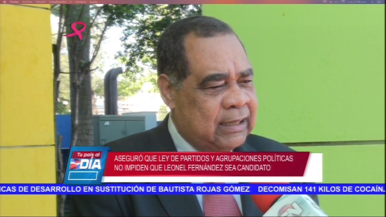 Aseguró Que Ley De Partidos Y Agrupaciones Políticas No Impiden Que Leonel Fernandez Sea Candidato