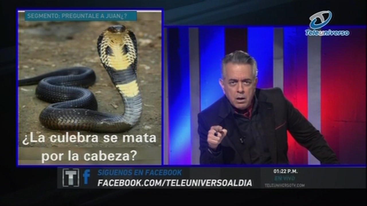 Pregúntale A Juan ¿La Culebra Se Mata Por La Cabeza?