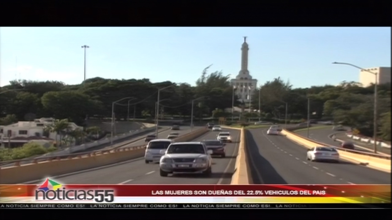 Según La DGII El 22.5% Del Parque Vehicular Pertenece A Las Mujeres