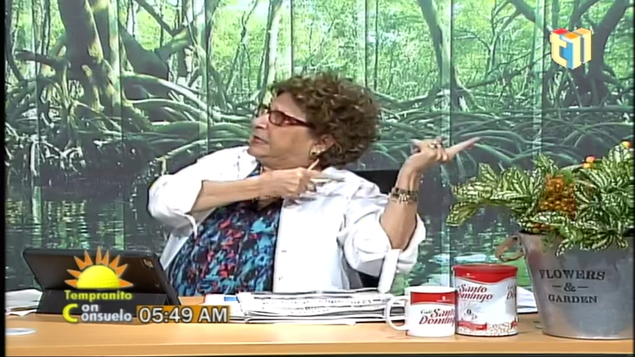 Consuelo Despradel: “Es Muy Bueno Hablar De Caridad Cuando Tu Hija Está En Una Clínica Privada”