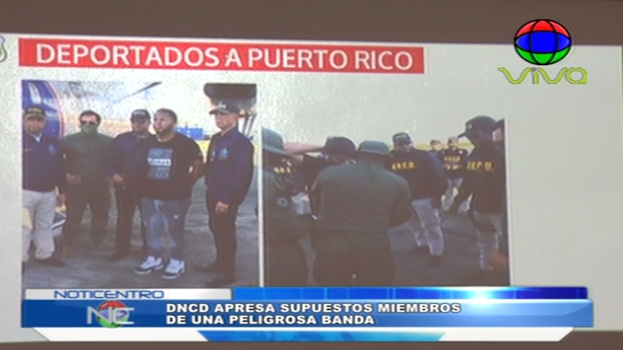 La DNCD Apresó A Supuestos Miembros De Una Peligrosa Banda Puertorriqueña