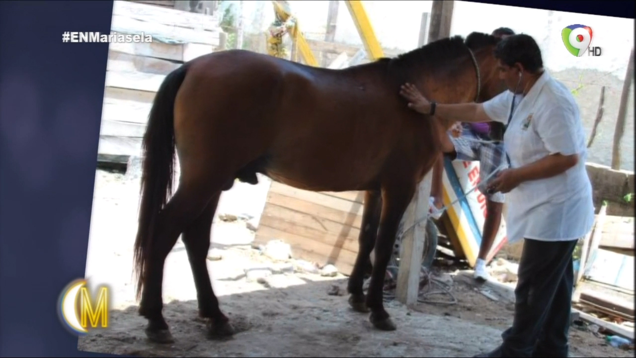 Comentamos Sobre La Construcción De La Plaza De Toros En El Seibo 