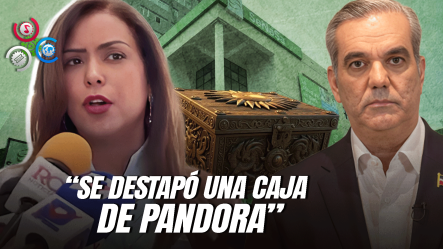 Selinée Méndez Arremete Contra El Presidente Abinader Por Escándalo En SeNaSa