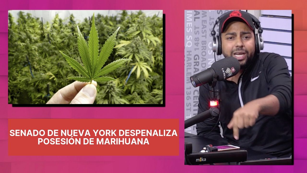 Senado De Nueva York Despenaliza Posesión De Marihuana
