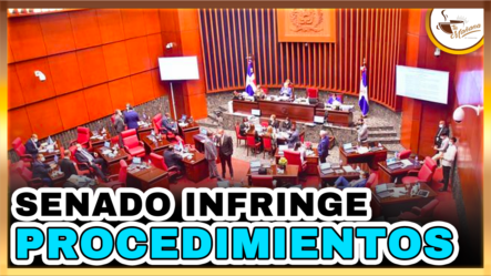 Senado Infringe Procedimientos | Tu Mañana By Cachicha