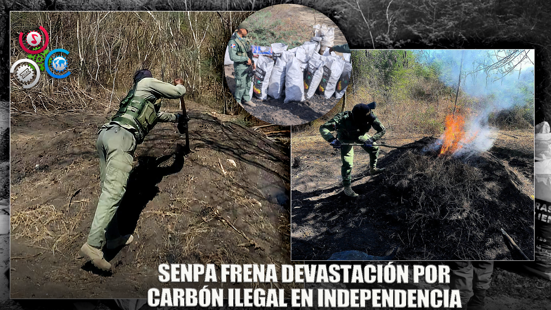 Senpa Desmantela Estructura Ilegal De Producción De Carbón Vegetal