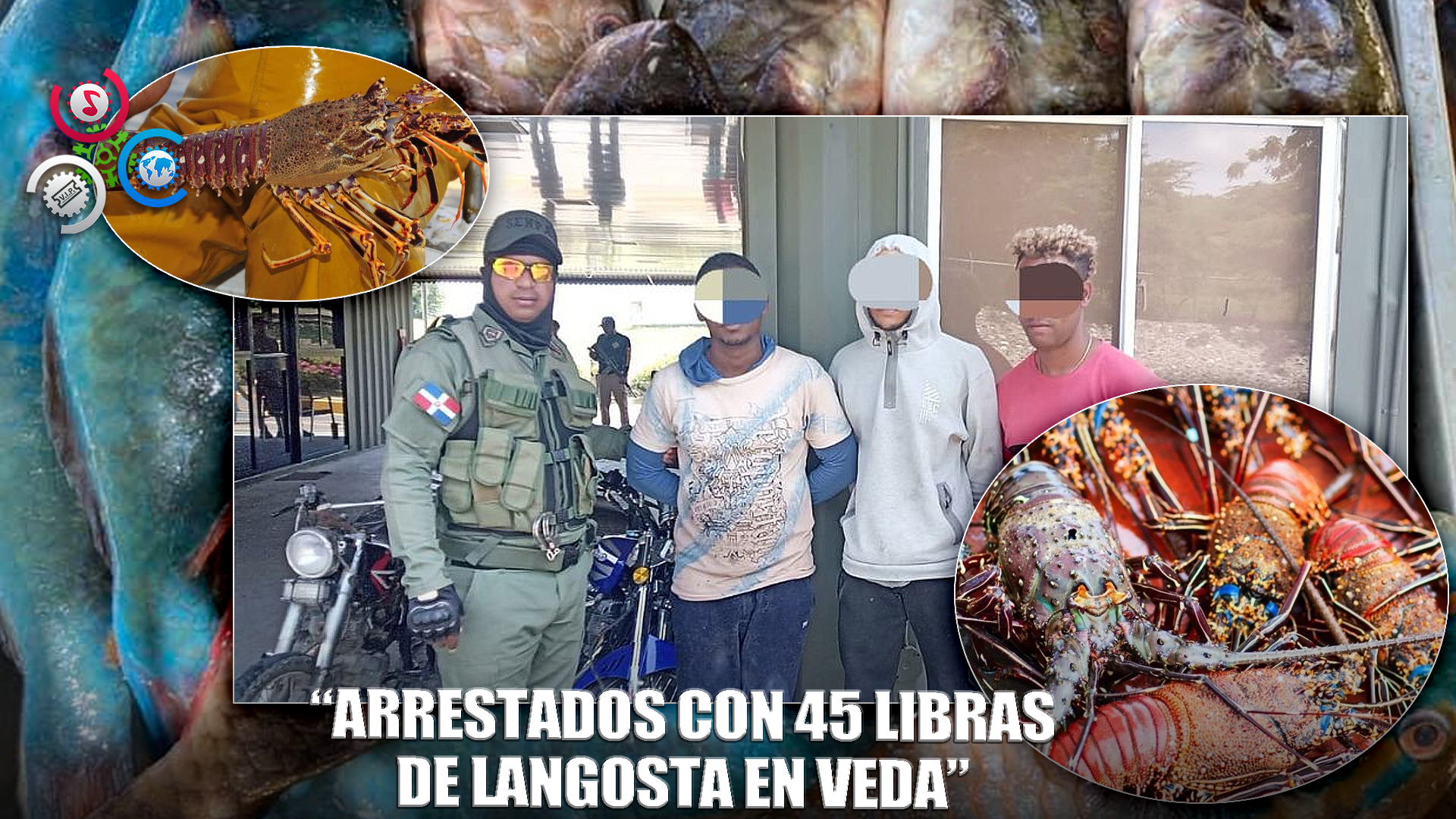 Senpa Y Medio Ambiente Arrestan Por Pesca Ilegal De Langosta