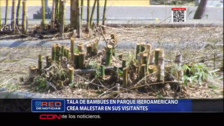 Malestar En Residentes Del Sector “La Esperilla” Por La Tala De Bambúes Del Parque Iberoamericano