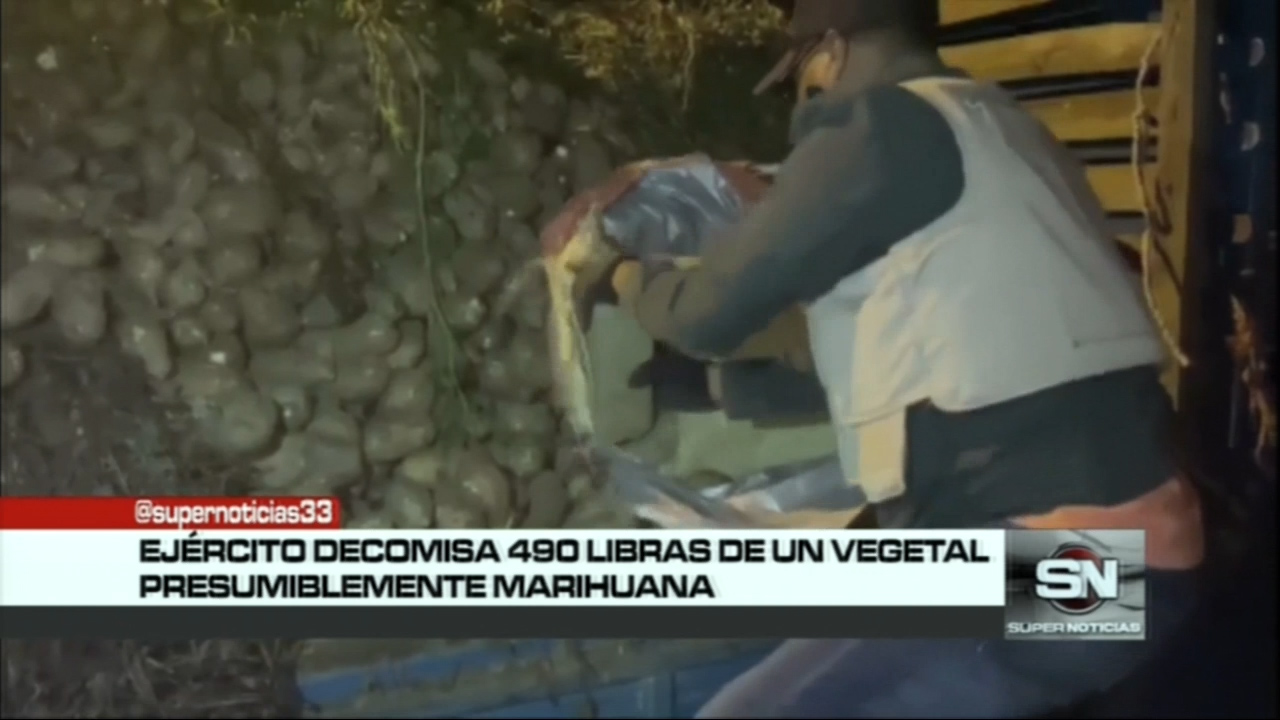 Autoridades Decomisan 490 Libras De Presumible Marihuana Escondidas En Un Camión De “batata”