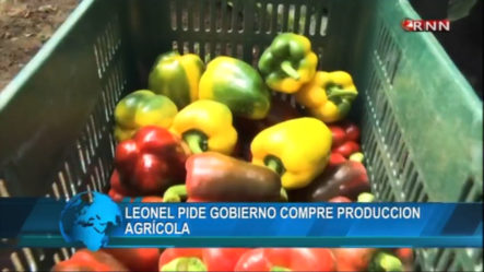 Leonel Fernández Pide Al Gobierno Comprar Producción Agrícola Local