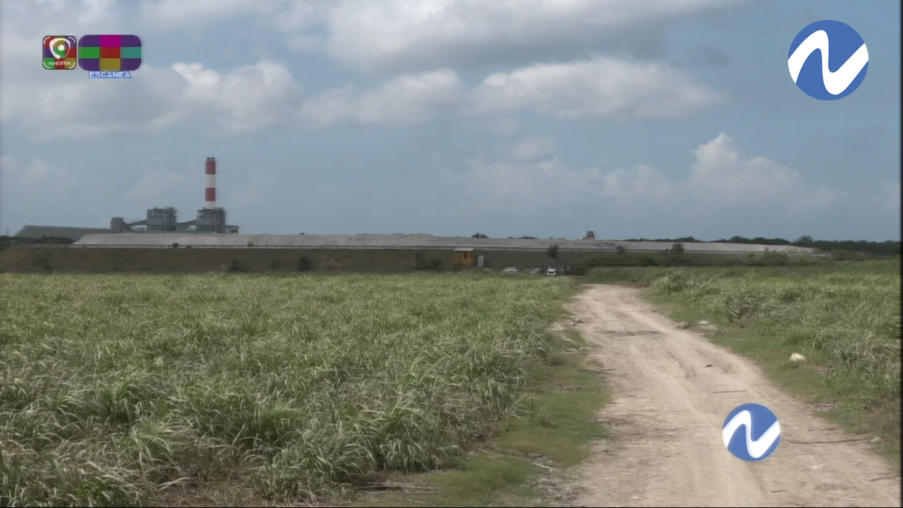 Municipes De Peravia Acusan Punta Catalina Por La Mayor Fuente De Contaminación Que Azota La Zona