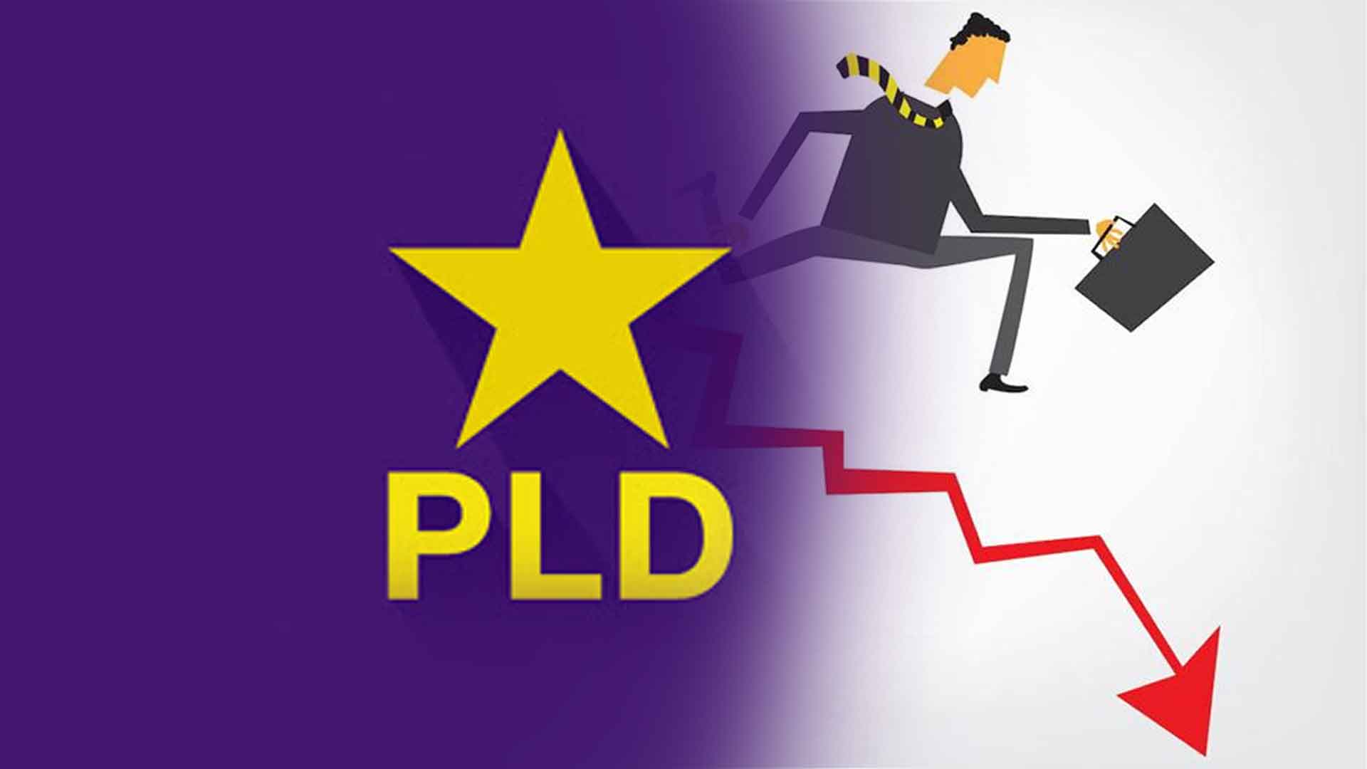 Según Margarita Rodríguez: “Si El PLD Gana El País Se Irá A Pique”.