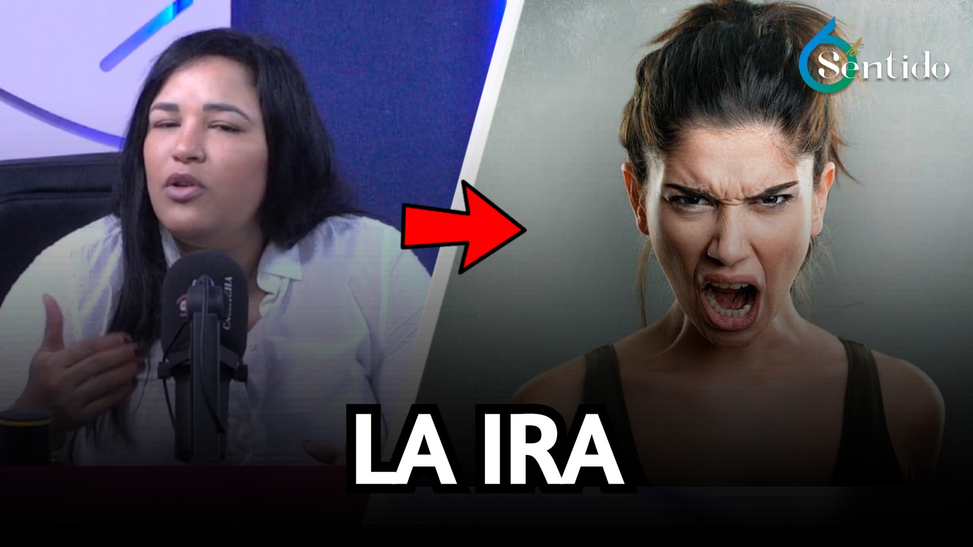 Experta En Conducta Humana Habla Sobre Como Disminuir La Ira | 6to Sentido