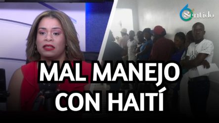 RD No Ha Tenido Un Buen Manejo Político Con Haití Asegura Abril Peña | 6to Sentido