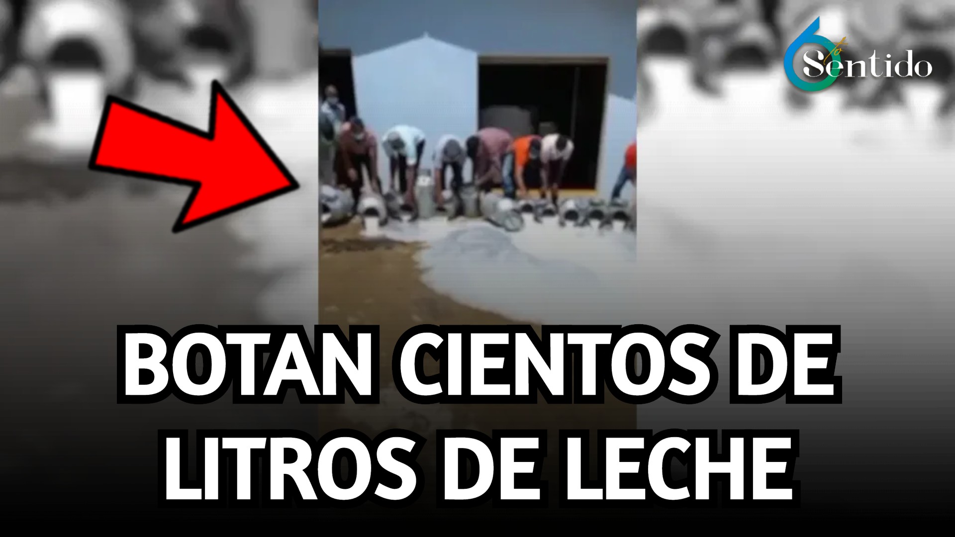 Ganaderos De Yásica Botan Cientos De Litros De Leche En Protesta Por Disminución Del Precio De Compra | 6to Sentido