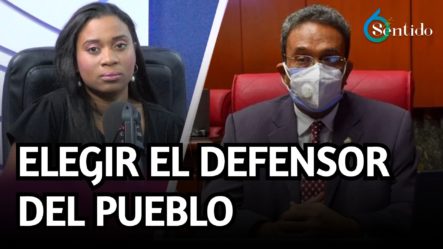 “Hay Una Alianza, Entre En El PRM Y El PLD Para Elegir El Defensor Del Pueblo” | 6to Sentido