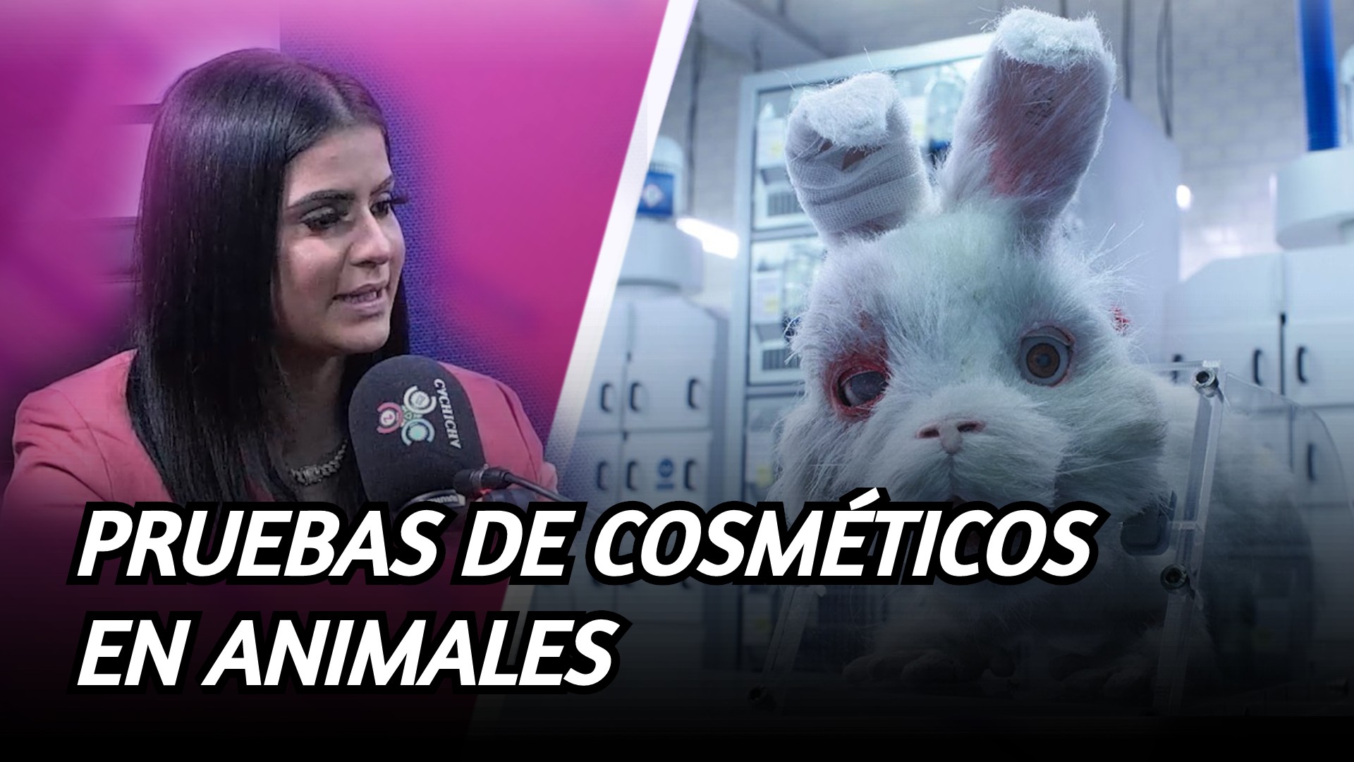 Cómo Identificar Cosméticos Que Sean Libres De Crueldad Animal | 6to Sentido