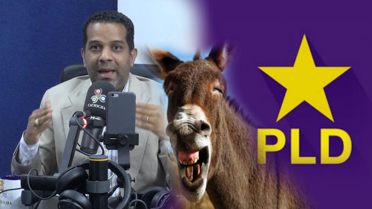 Stewart García: “Los Burros De Carga Del PLD”