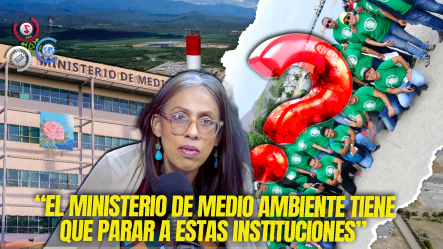 Susana Gautreau Cuestiona Exigencias De Organizaciones Ambientales A Proyectos Energéticos Y Mineros