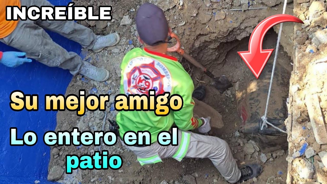 ¡Escalofriante! Su Mejor Amigo Lo Enterró En El Patio De Su Casa En Una Maleta