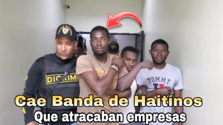 Atrapan Banda De Haitianos Que Supuestamente Atracaron Empresas