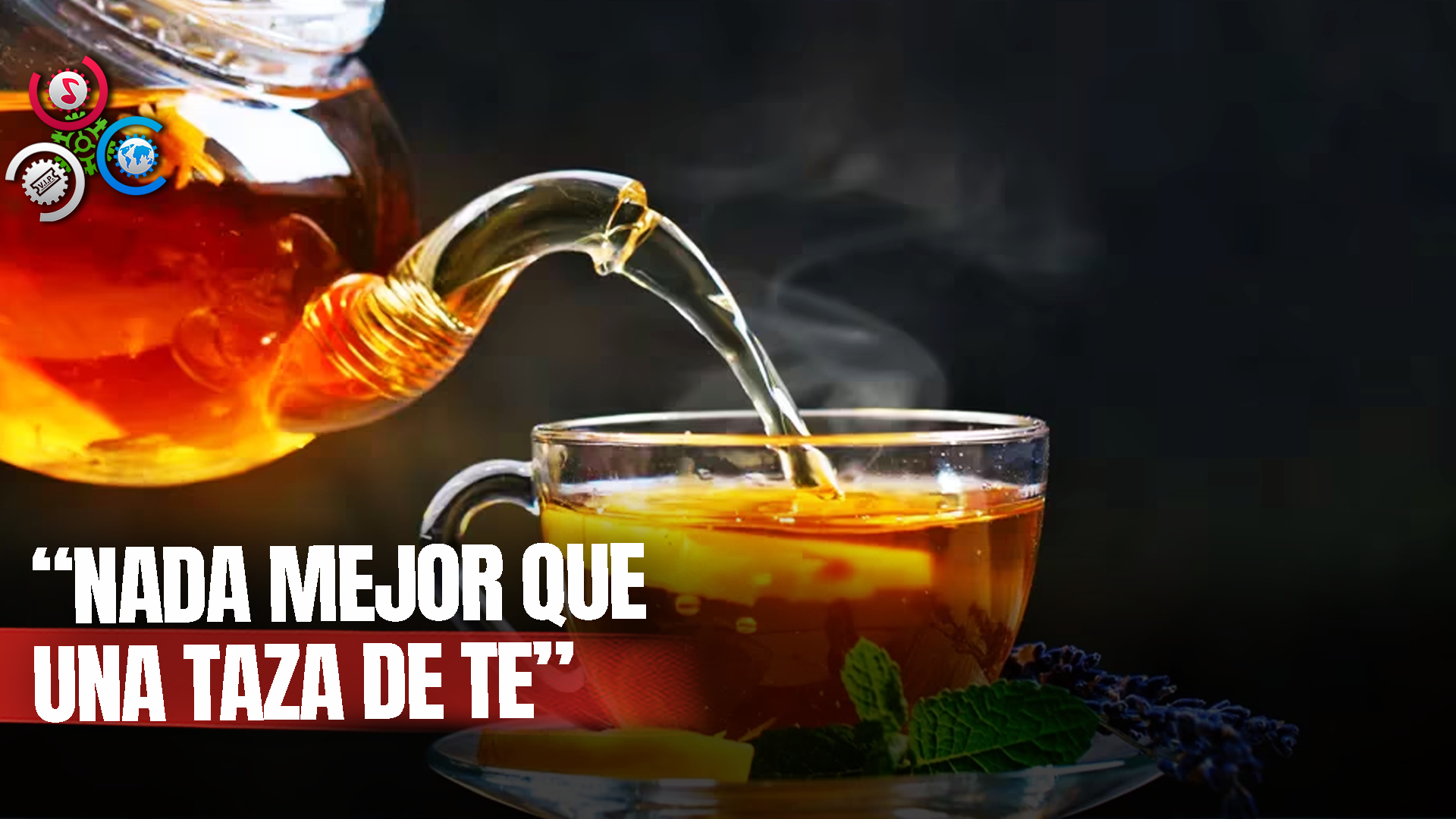 21 De Mayo: DÍA INTERNACIONAL DEL TÉ