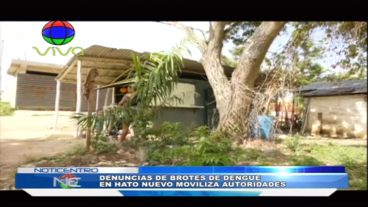 Denuncias De Brotes De Dengue En Hato Nuevo Moviliza Las Autoridades