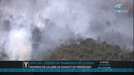 Jefe Del Cuerpo De Bomberos De La Vega: Incendio En La Loma De Guagui Fue Provocado