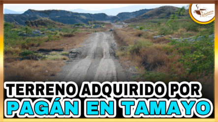 Terreno Adquirido Por  Pagán En Tamayo | Tu Mañana By Cachicha