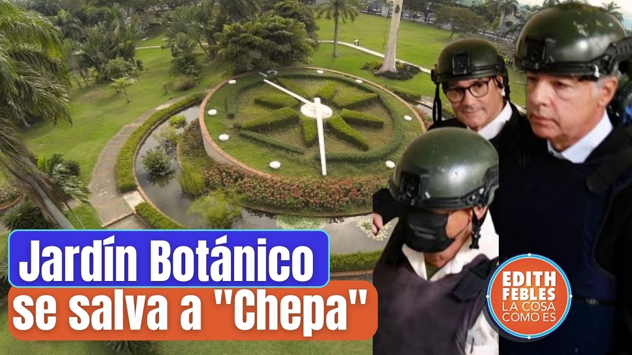 Terrenos Del Jardín Botánico Dentro Del Expediente En Operación Calamar