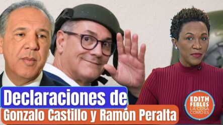 Testimonios De Gonzalo Castillo Y Ramón Peralta Ante El Tribunal