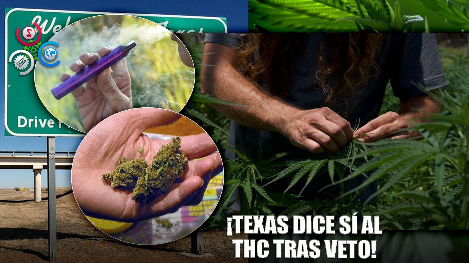 Texas Permite Venta De Productos Con THC