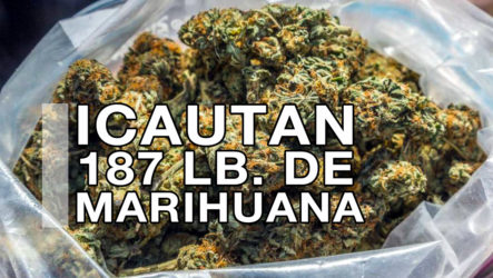 ‘EJERCITO’ Incautan 187 Libras De ‘Marihuana’