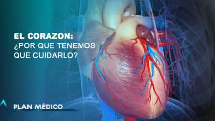 ¿El Corazón, Por Qué Es Tan Importante Y Por Qué Debemos Cuidarlo? | Plan Médico