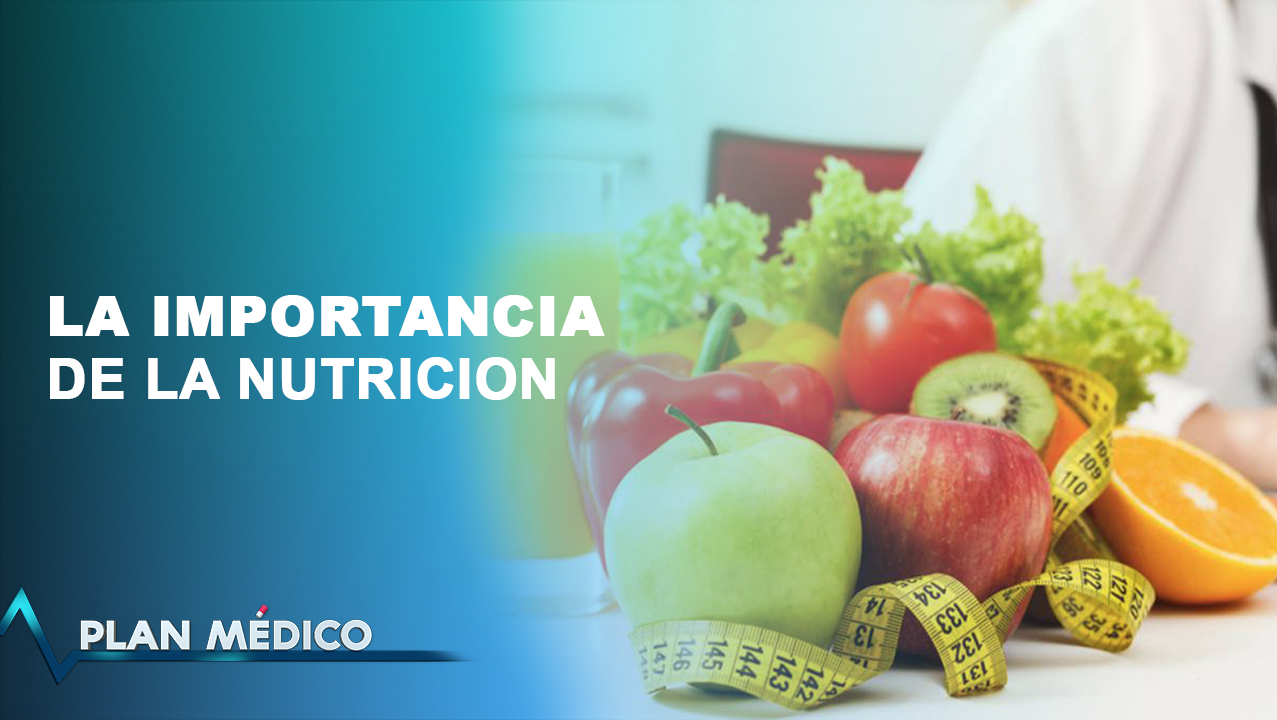 La Importancia De La Nutrición | Plan Médico