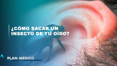 ¿Cómo Sacar Un Insecto De Tu Oído? | Plan Médico