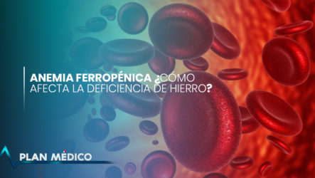 Anemia Ferropénica ¿Cómo Afecta La Deficiencia De Hierro? | Plan Médico