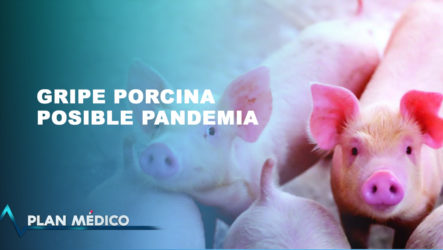Causas Y Consecuencias De La Gripe Porcina | Plan Médico