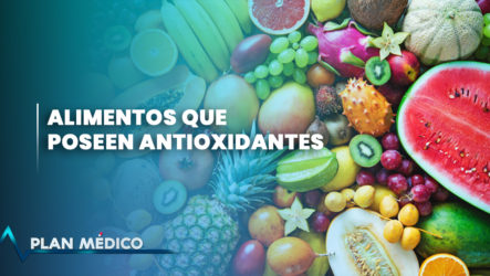 EN VIVO: Alimentos Que Poseen Antioxidantes | Plan Médico