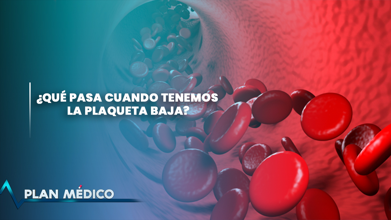 EN VIVO: ¿Qué Pasa Cuando Tenemos La Plaqueta Baja? | Plan Médico