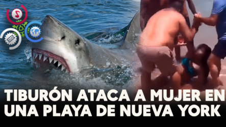 Tiburón Ataca A Mujer En Una Playa De Nueva York