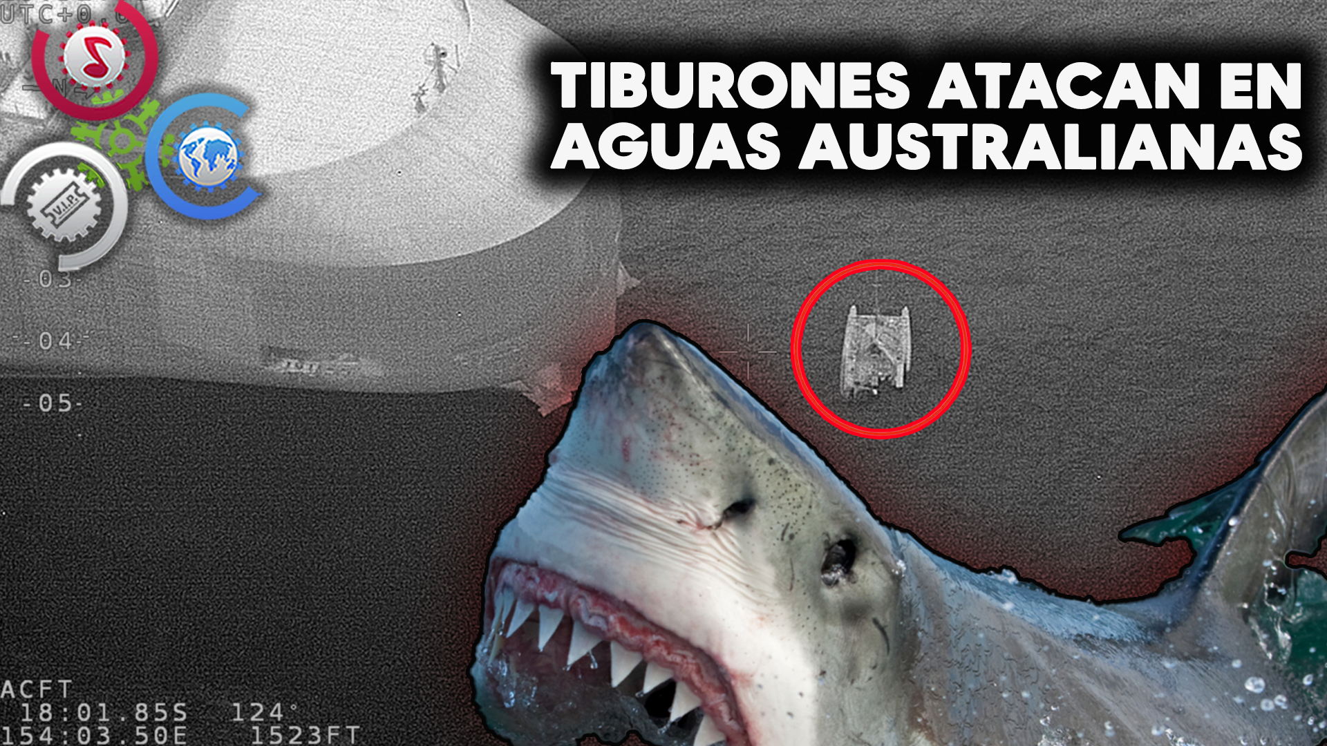 Tiburones ATACAN En Aguas Australianas Poniendo En PELIGRO 3 Personas